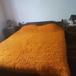 Guest house тодорината къща 3*
