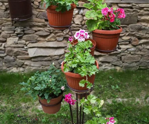 Guest house тодорината къща 3*