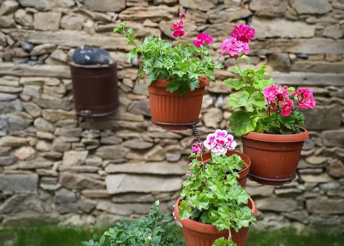 тодорината къща Guest house 3*