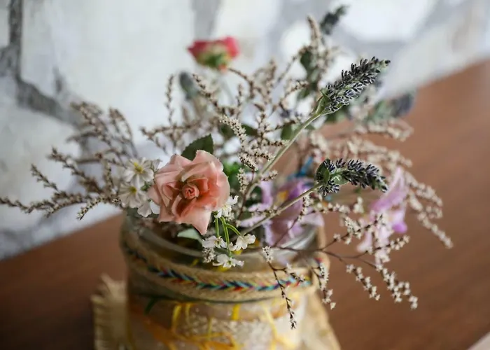 тодорината къща Guest house 3*